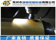 泰州無(wú)紡布穿孔輥